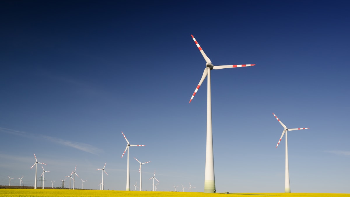 Havsbaserad vindkraft ses som central för klimatomställningen, men krockar nu med försvarsintressen i Östersjön.